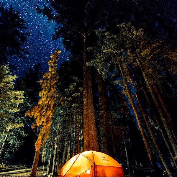Camp